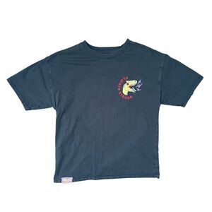 ZARA Boys Dinosaur Tee Size 11/12 100% Cotton EUC